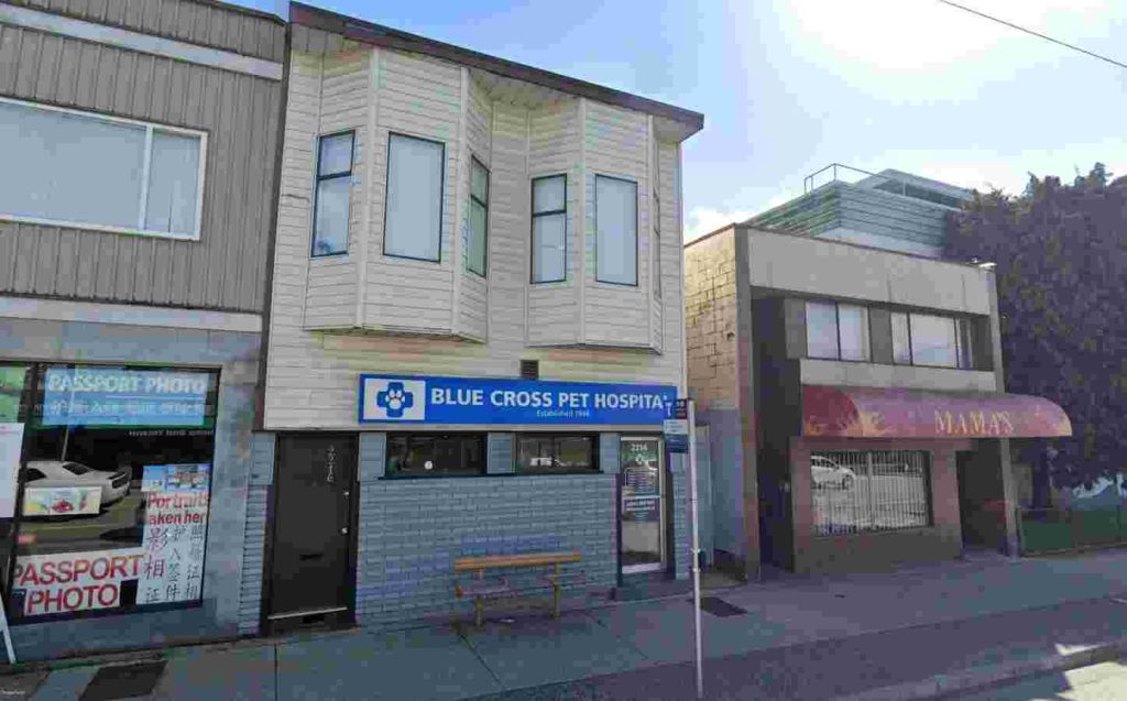 HASTINGS STREET INVESTMENT PROPERTY